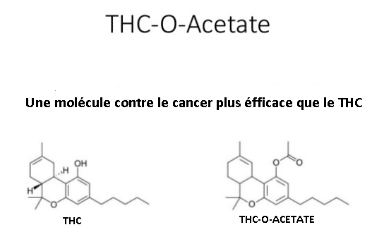 plus puissant que le THC,Qu&#039;est-ce que le THC-O-acétate,Quels sont les effets du THC-O-acétate?,THC-O-acetate,thc-o-acetate reddit,thc-o-acetate vape,thc-o-acetate legality,thc-o-acetate gummies,thc-o-acetate products,thc-o-acetate erowid,thc-o-acetate carts,thc-o-acetate effects,thc-o-acetate near me,thc-o-acetate drug test,THC-O,THC O