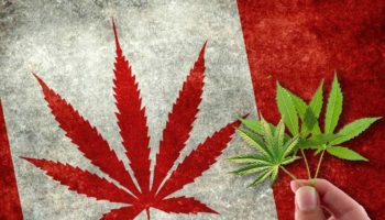 ventas legales Canadá, cannabis Canadá, balance de cannabis canadá, ley de cannabis canadá