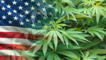 3个国家在美国大选中批准了大麻合法化