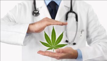 efecto del cannabis medicinal