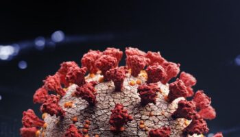 corona virus close up